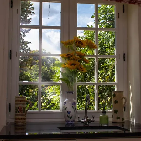 Hébergement de vacances Jasmin Montayral