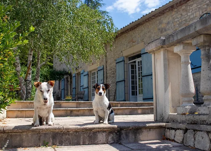 Jasmin בית נופש *